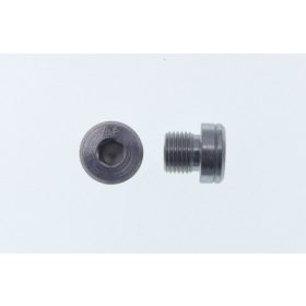 Záródugó M10x1, G M 10 x 1 | L 4,5